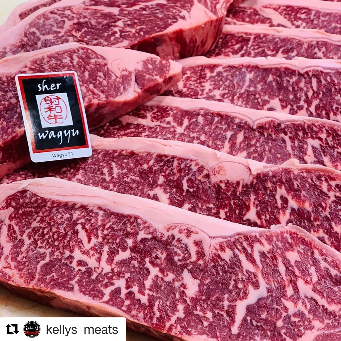 Sher Black Striploin MS8-9