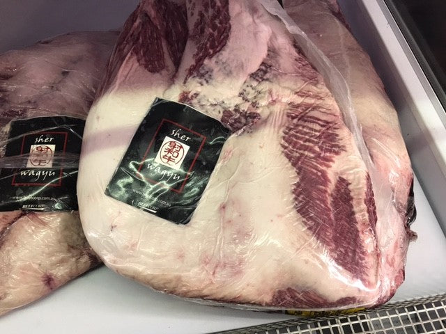 Sher F1 PE Brisket MS8-9+