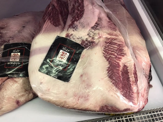 Sher F1 PE Brisket MS8-9+