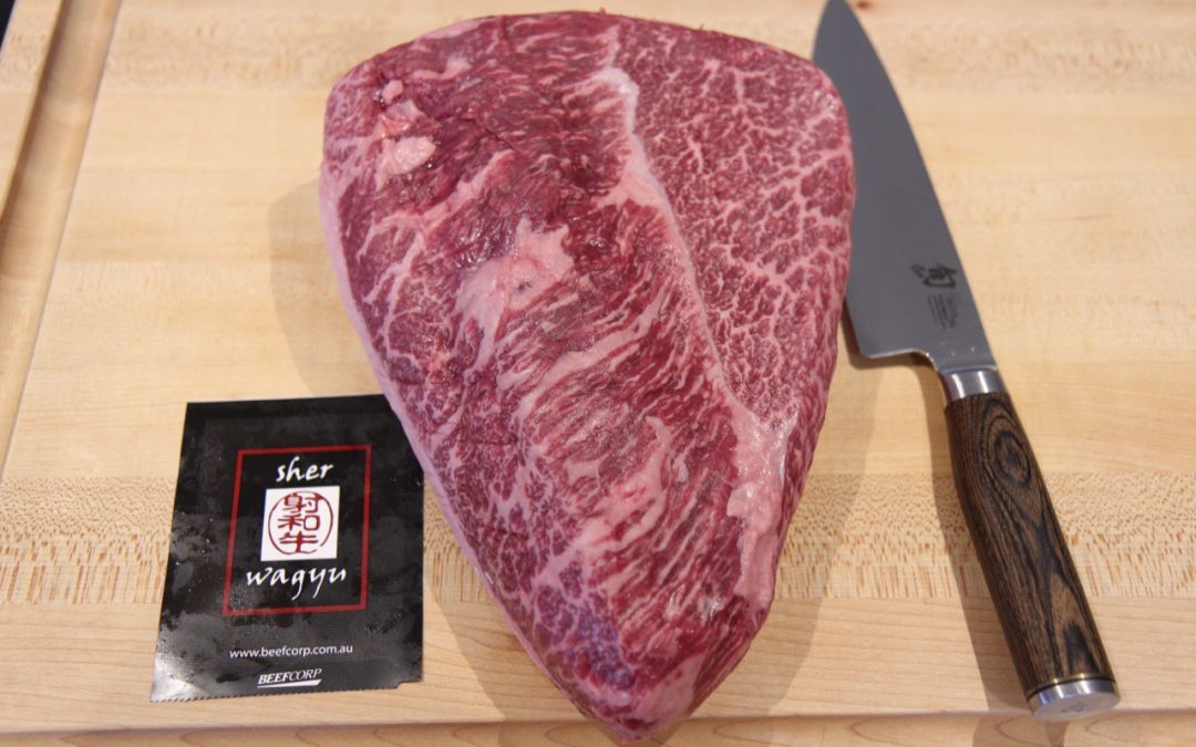 Sher F1 Rump Cap / Picanha MS8-9